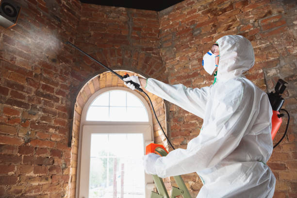 Environmental Consulting for Mold Prevention in Twin Lakes, WI