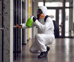 Twin Lakes, WI Mold Removal & Remediation Company